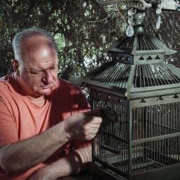 dementia with Lewy bodies explained