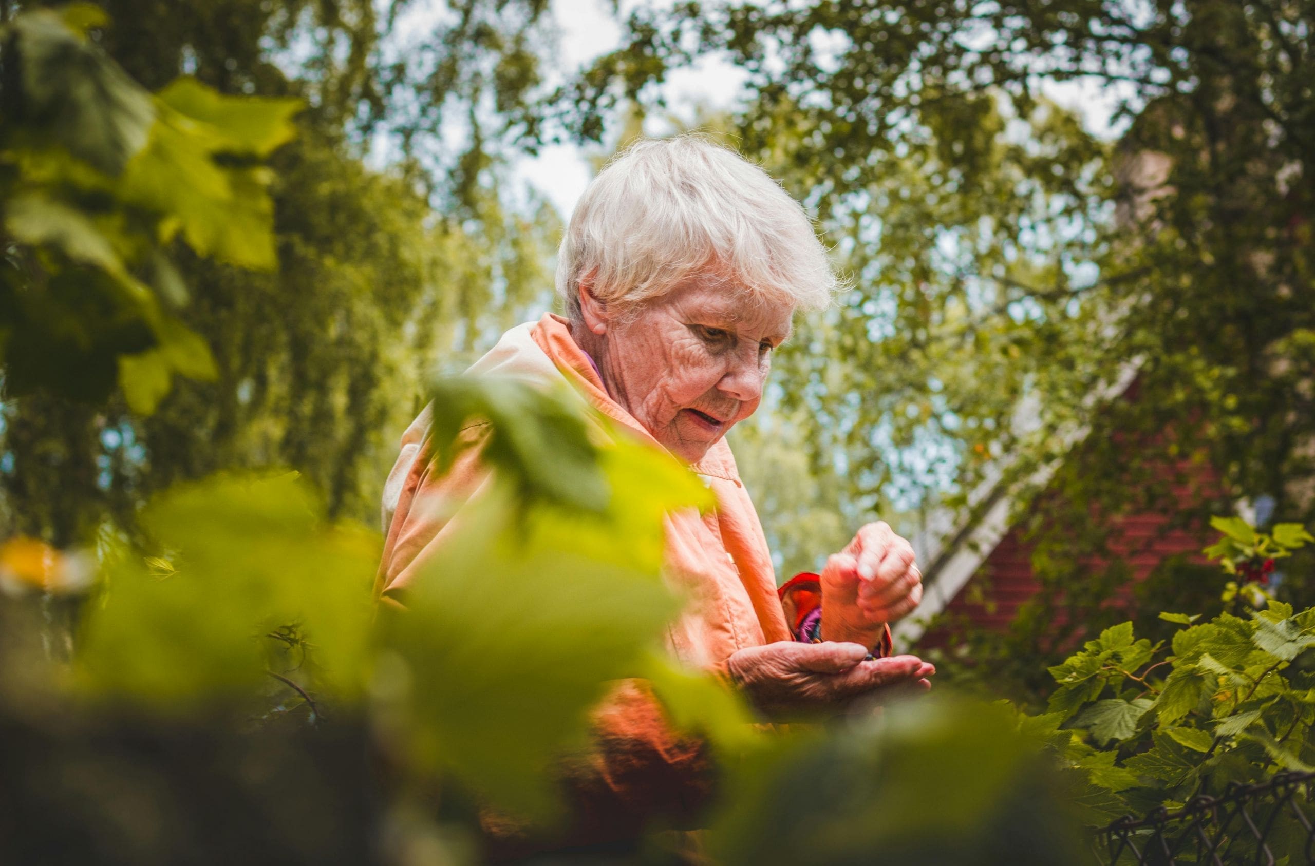 What is Vascular Dementia, and What are its Causes?