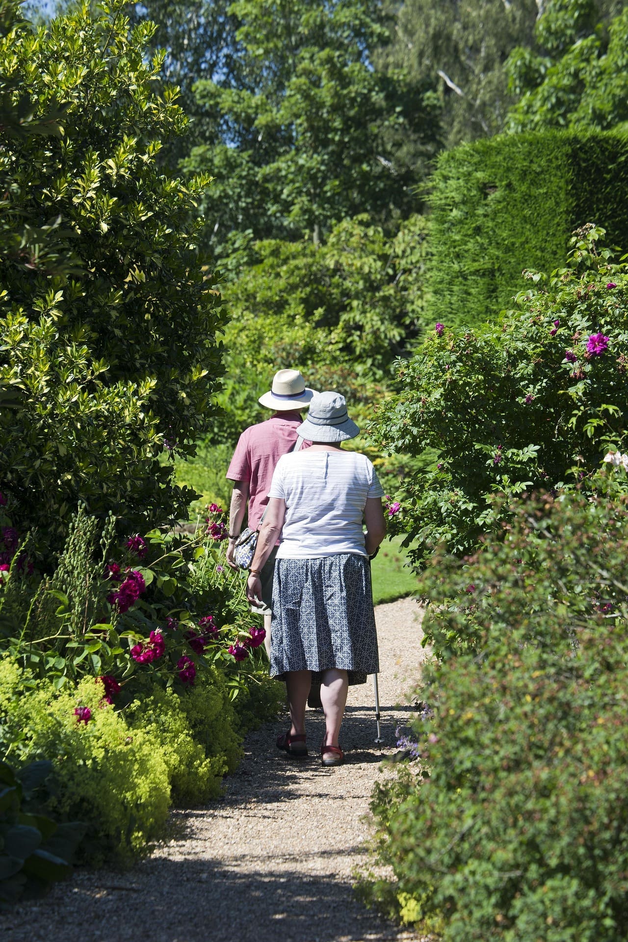 Edinburgh Dementia Garden